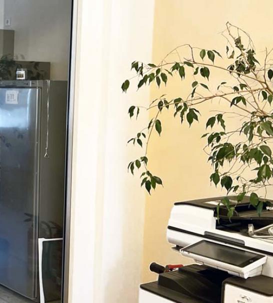 Raumtrennwände | 2022 September